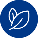 Ícone produzido com ativos naturais Ícone para mostrar que o clareamento dental caseiro da New White é produzido com ativos naturais