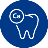 Ícone rico em cálcio Ícone para mostrar que o clareamento dental caseiro da New White é rico em cálcio
