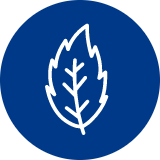 Ícone para mostrar que o clareamento dental caseiro da New White tem sabor menta